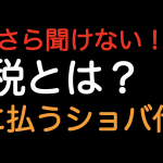 関税とは? 国に払うショバ代！？