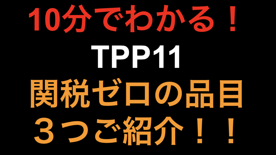【10分でわかる！！】TPP11 関税ゼロの品目３つご紹介！！