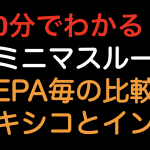 【10分でわかる！！】デミニマスルール　メキシコとインド編！